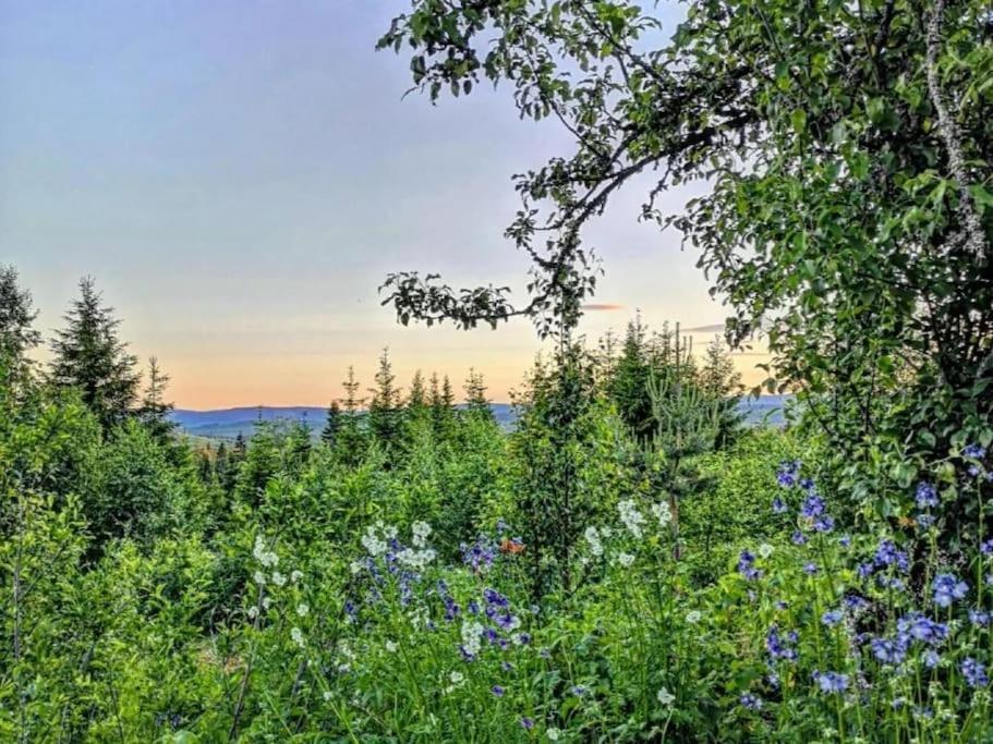 Forest Cabin With Stunning Mountain View & Sauna Torsby Εξωτερικό φωτογραφία