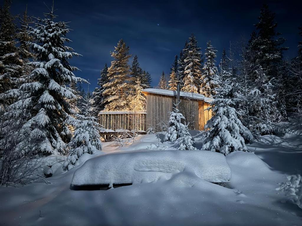 Forest Cabin With Stunning Mountain View & Sauna Torsby Εξωτερικό φωτογραφία